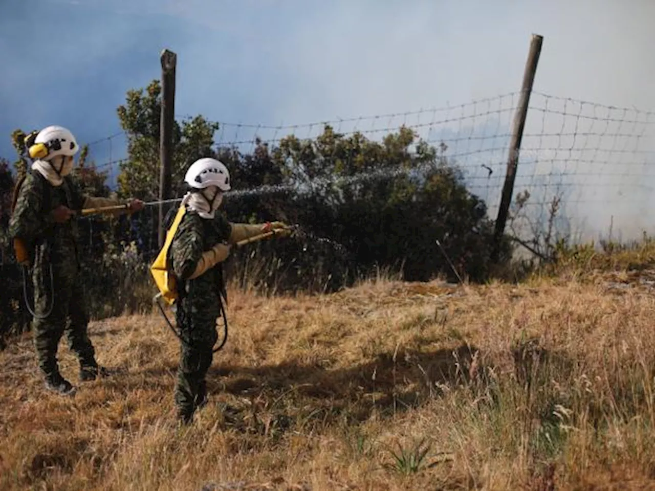 Incendios forestales en Colombia