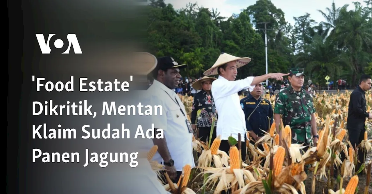 Food Estate di Kabupaten Gunung Mas Berhasil Panen Jagung