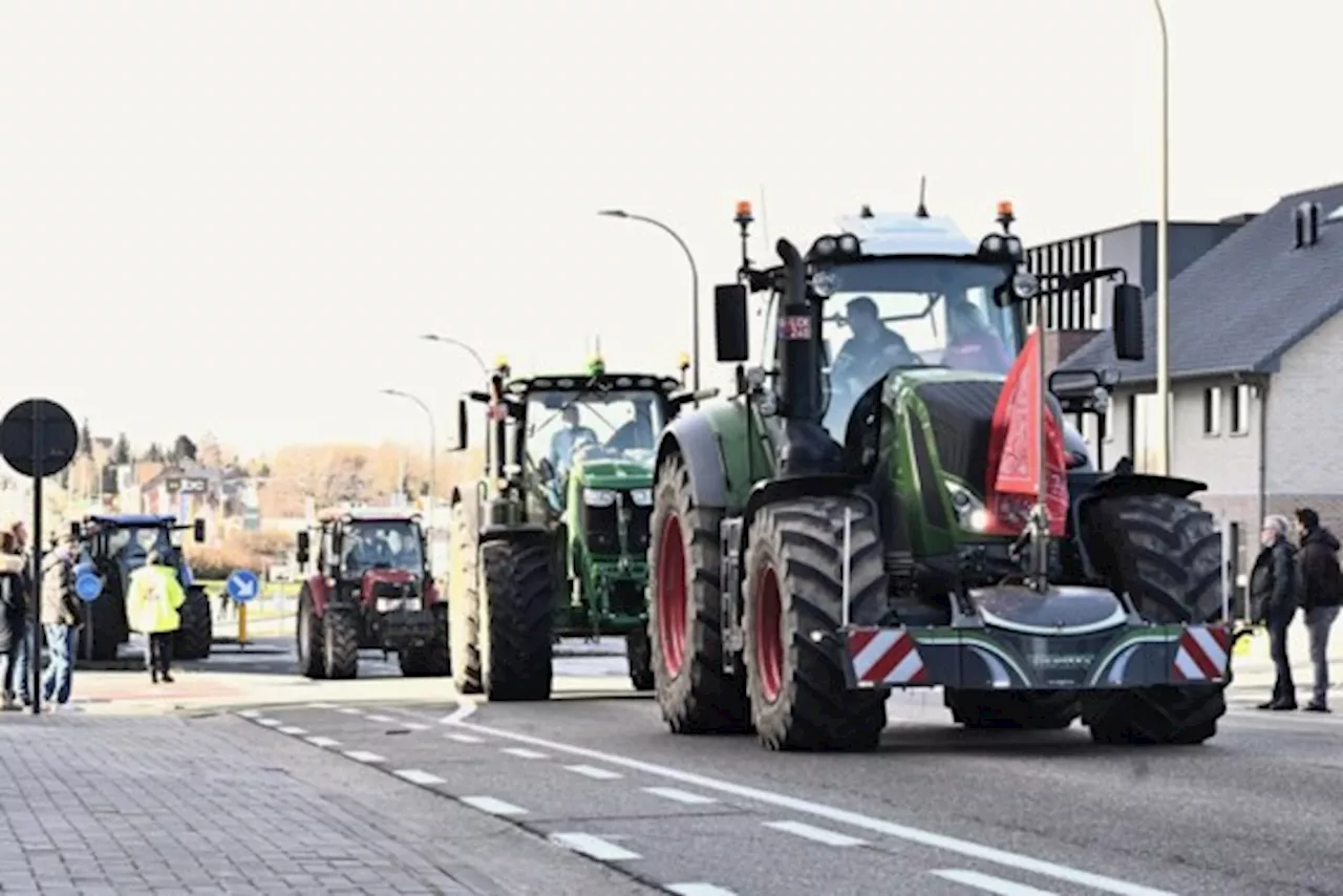 Limburgse boeren betogen bij wedstrijd Sint-Truiden, Boerenbond plant acties vanaf dinsdag