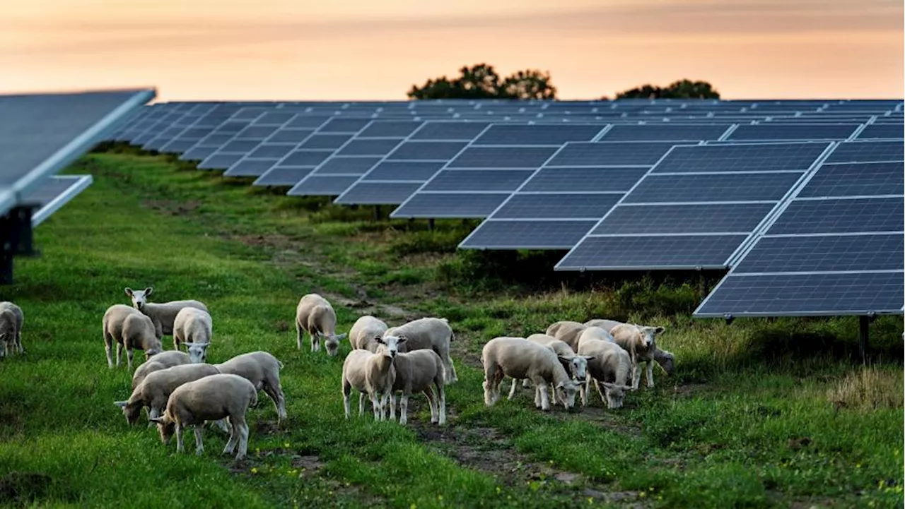 Stor nedgang i udbygning af solcelleanlæg i 2023