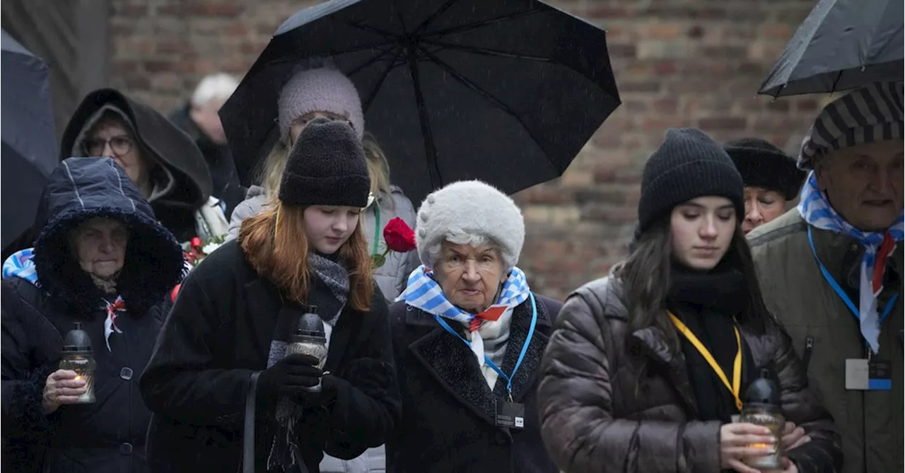 Survivors mark 79th anniversary of Auschwitz liberation