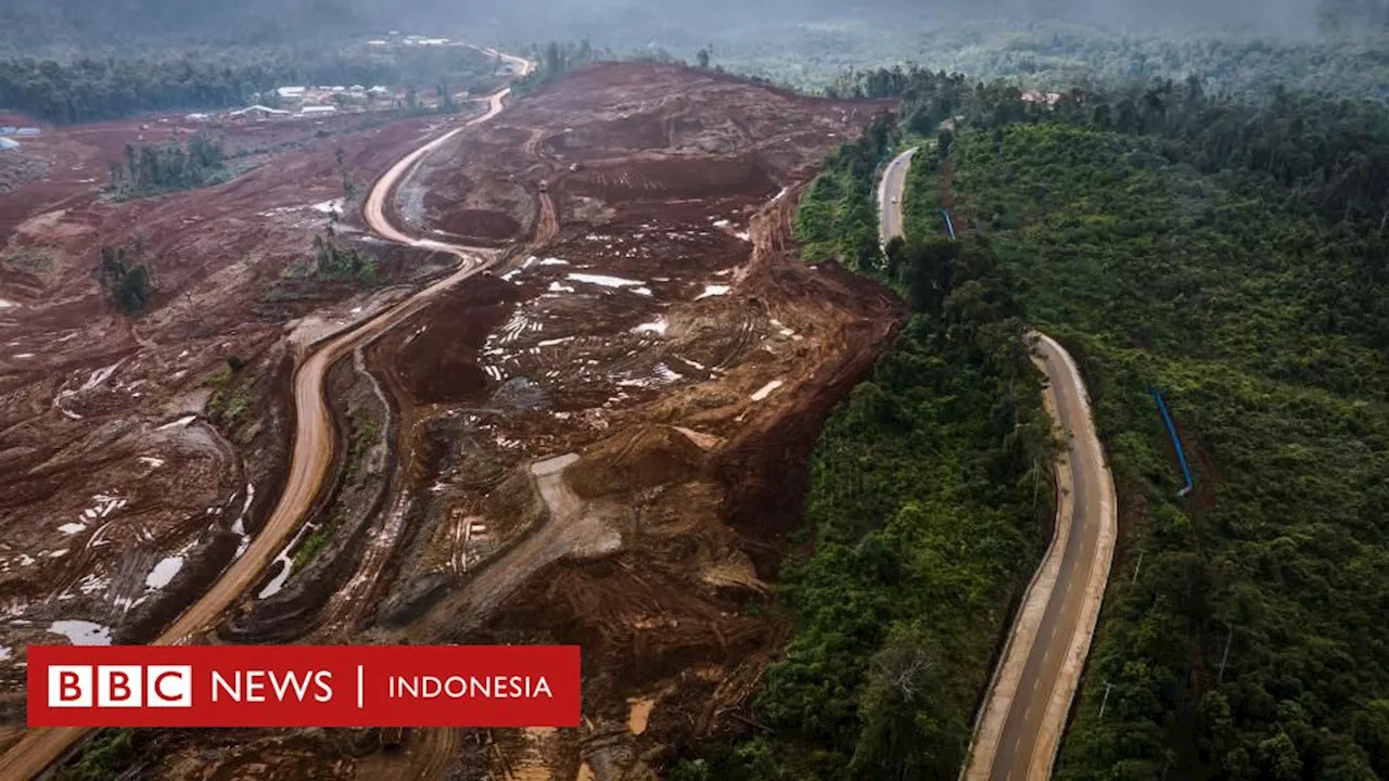 Hilirisasi nikel: Setumpuk masalah di balik ketergantungan Indonesia terhadap investasi China - 'Demam nikel membuat pemerintah kehilangan akal sehat'