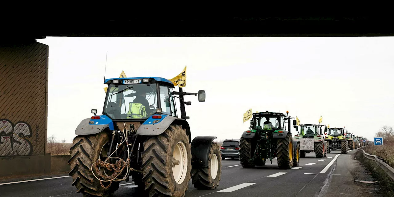 Manifestations agricoles en France