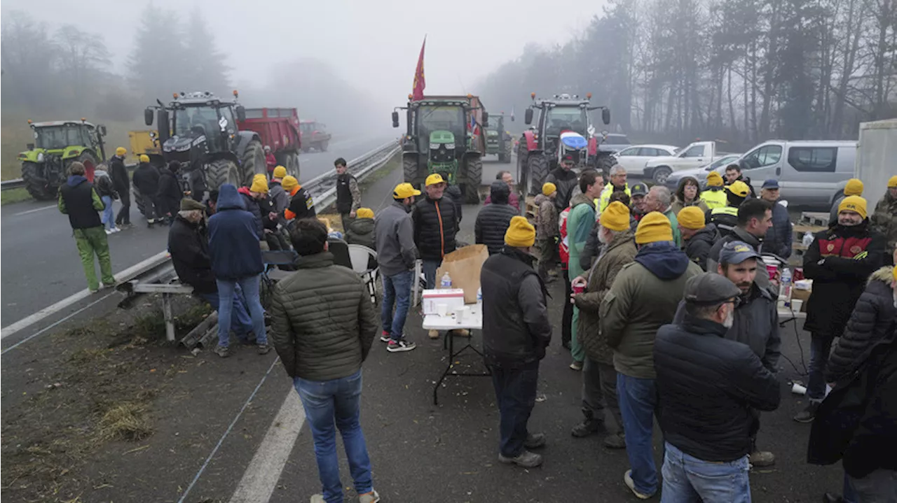 «Цепная реакция»: чем вызваны протесты французских фермеров