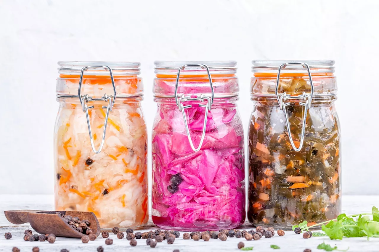 Harnessing the Potential of Fermented Foods for Mental Health