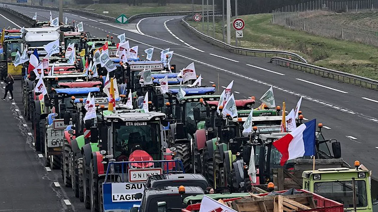 Zijn de huidige boerenprotesten in Europa vergelijkbaar met die in Nederland? En andere vragen beantwoord