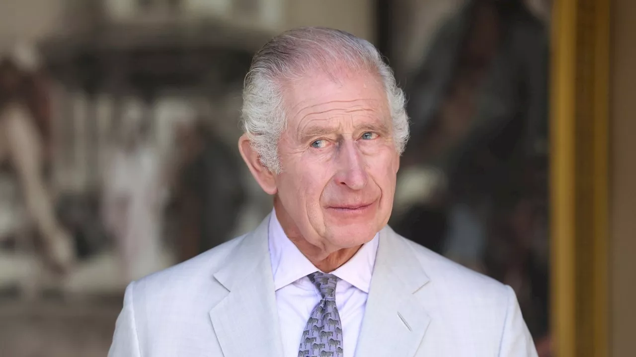 Monarchist claims Australia's Head of State is Governor General, not King Charles III