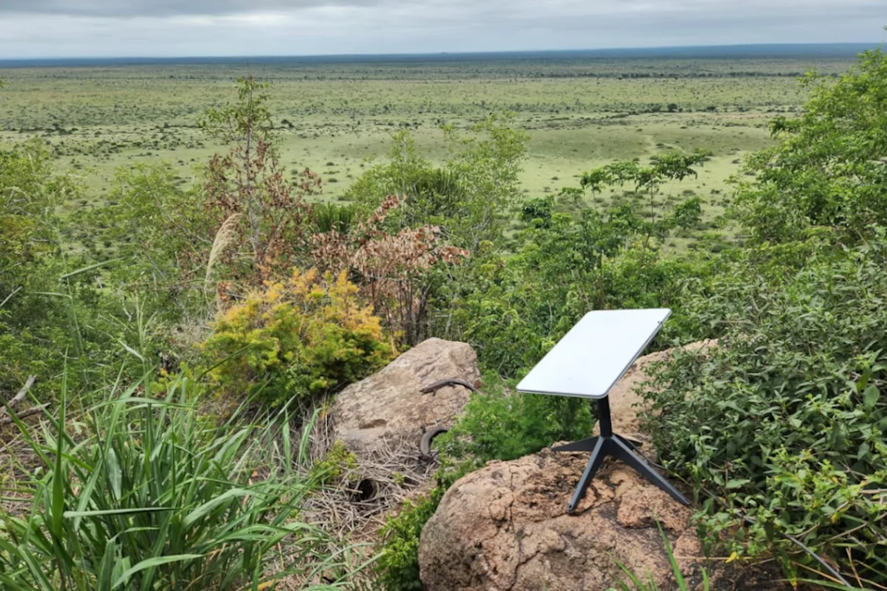 Starlink delivers excellent speeds in South Africa's Kruger National Park