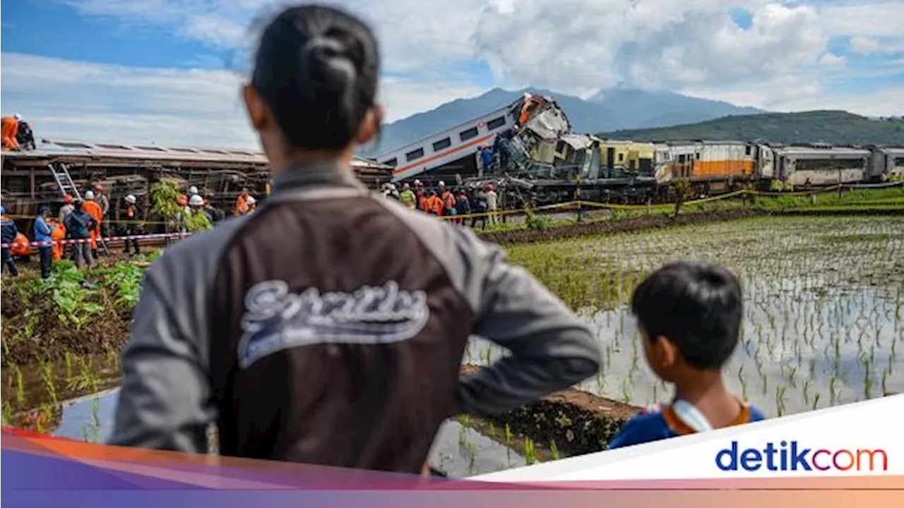 Saran Pakar Agar 'Adu Banteng' Kereta Tak Terulang Lagi