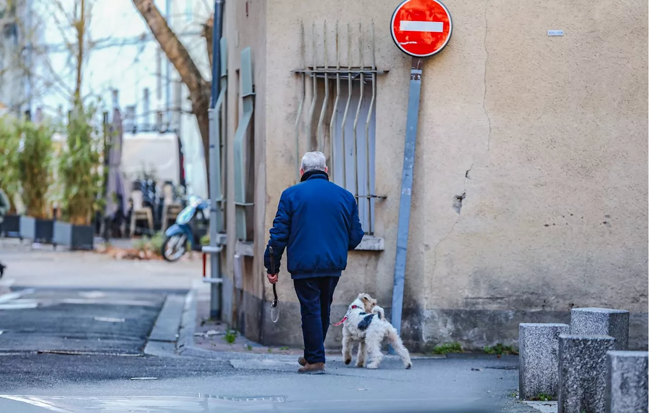 Un tiers des seniors estiment que leur animal a un impact positif sur leur santé