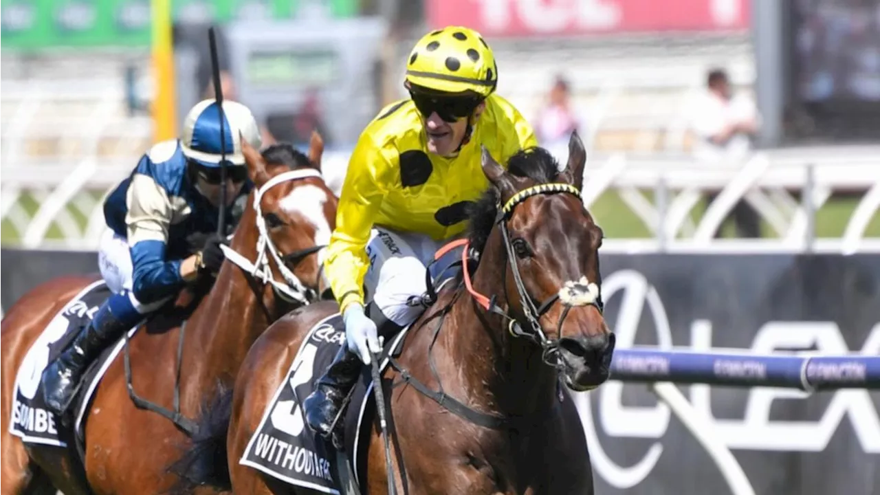 Defending champion Without A Fight officially ruled out of Melbourne Cup