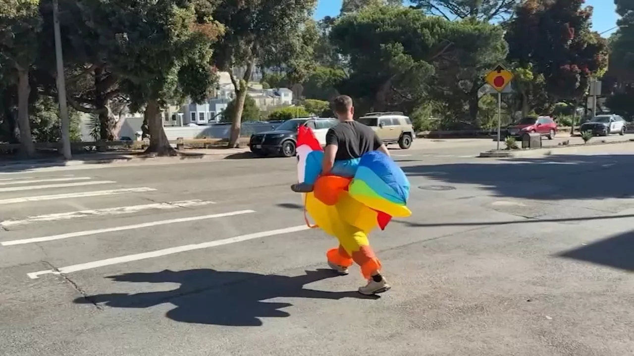 San Francisco Police Officer Uses Chicken Costume as Decoy to Ticket Drivers and Promote Pedestrian Safety