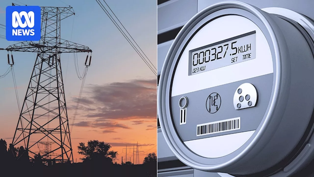 Electricity retailers label complex power prices 'perverse' as industry goes to war with itself