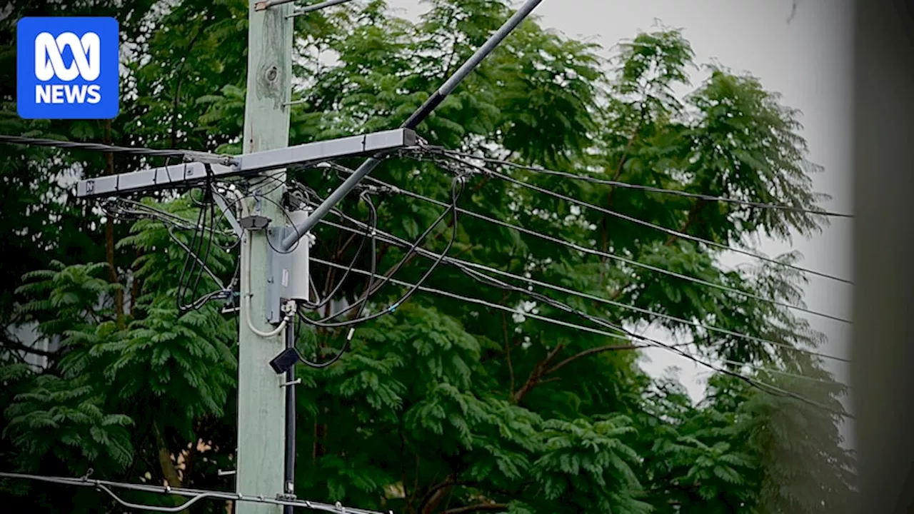 Queensland Labor leader Steven Miles to pledge publicly owned energy retailer if re-elected