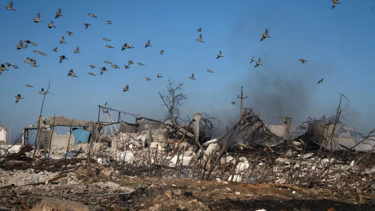 Live-Ticker zur Ukraine: Sieben Tote in ukrainischer Stadt Cherson nach russischem Beschuss