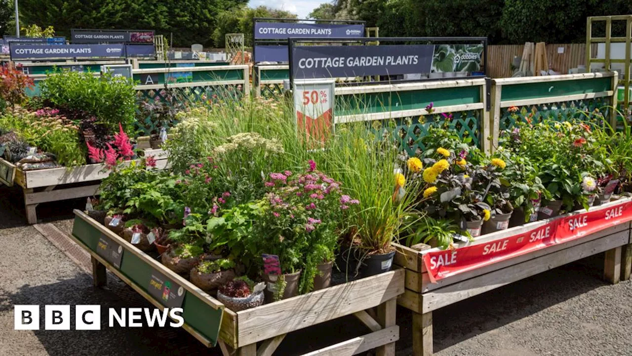 Dobbies to close 17 outlets across the country