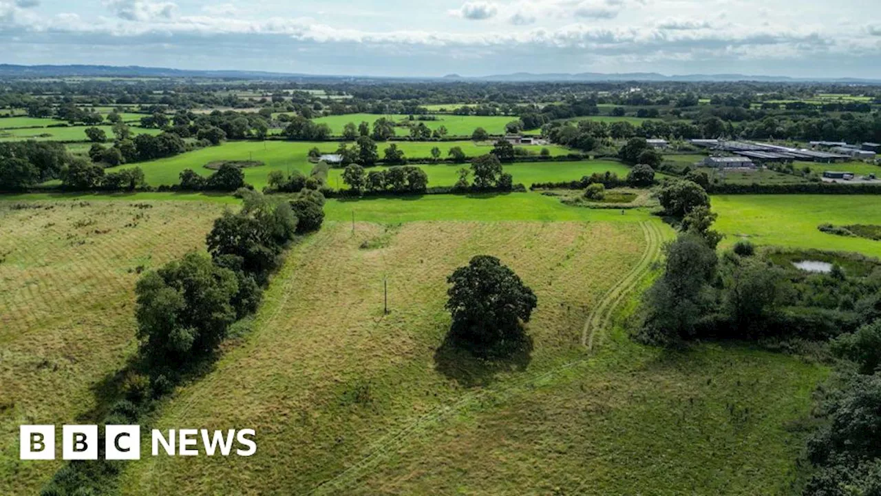 Chester Zoo plants 19,000 trees to create new wildlife sanctuary