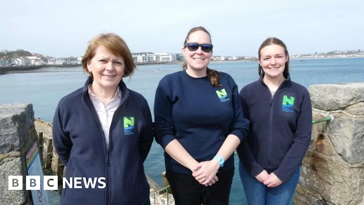 Nature report highlights decline of species in Herm and Guernsey