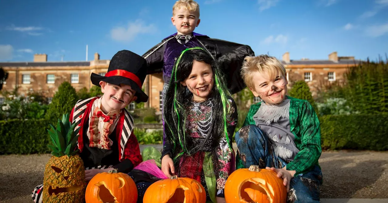 Halloween events taking place across Northern Ireland to mark spooky season