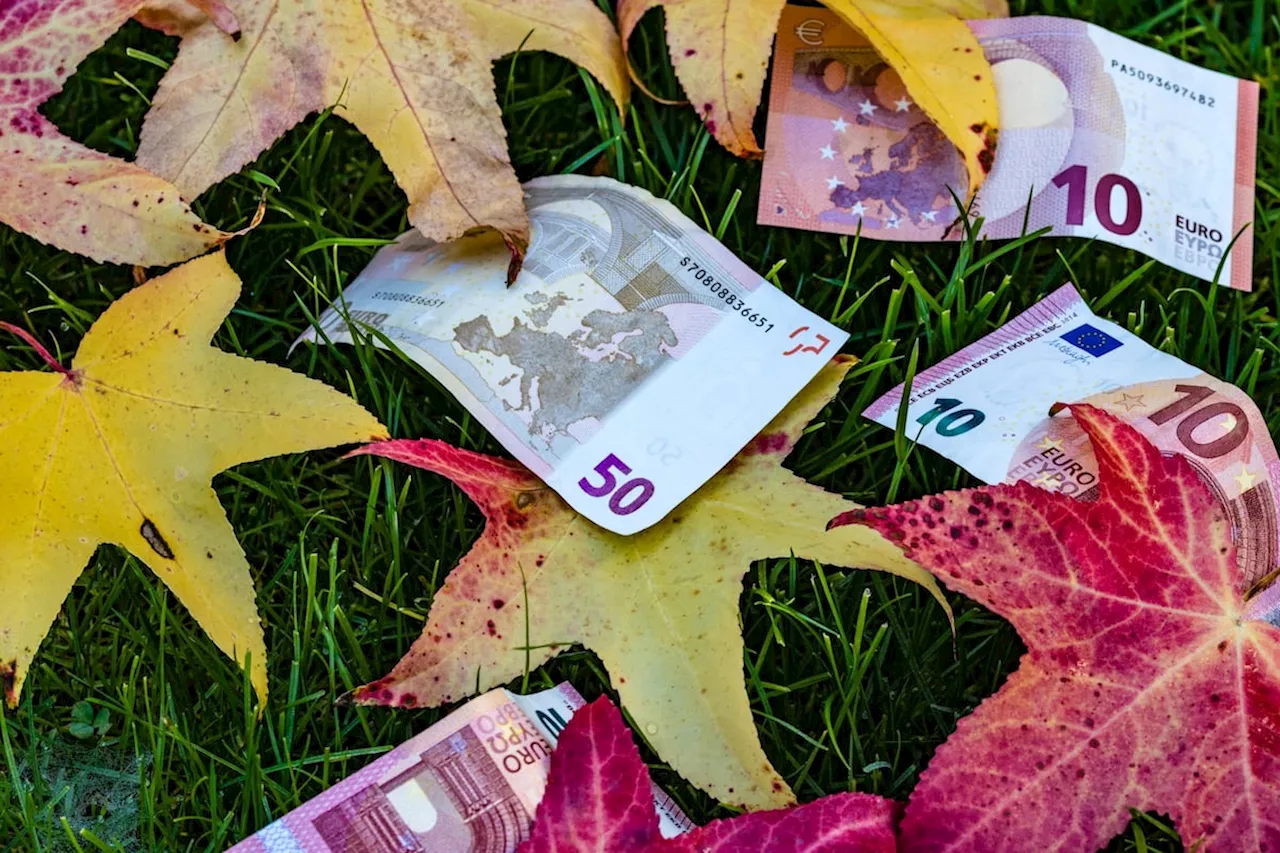 Llega el otoño y con él, la lluvia de dividendos a la Bolsa española