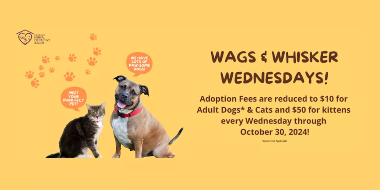 Cleveland APL reduces adoption fees to $10 on ‘Wags & Whisker Wednesdays’ in October