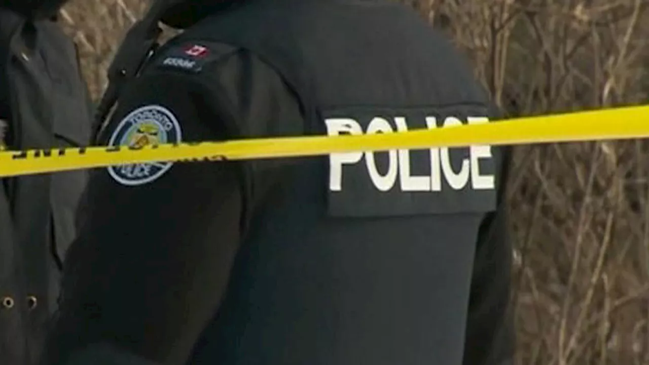 Victim stabbed during robbery in Scarborough, suspect outstanding