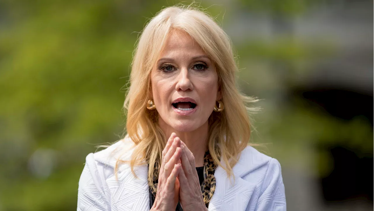 Kellyanne Conway hopes vice presidential debate pushes Trump to face off with Harris again