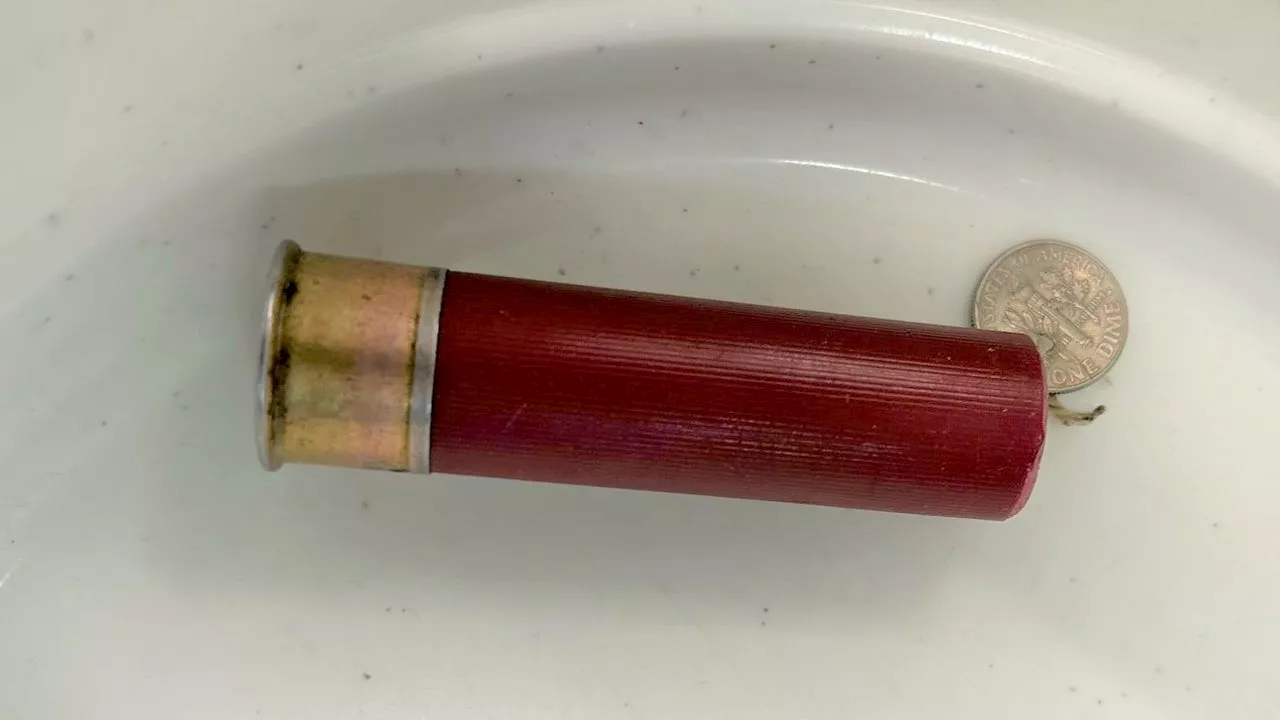 Shotgun shell containing drugs found on traveler at Philadelphia International Airport: TSA