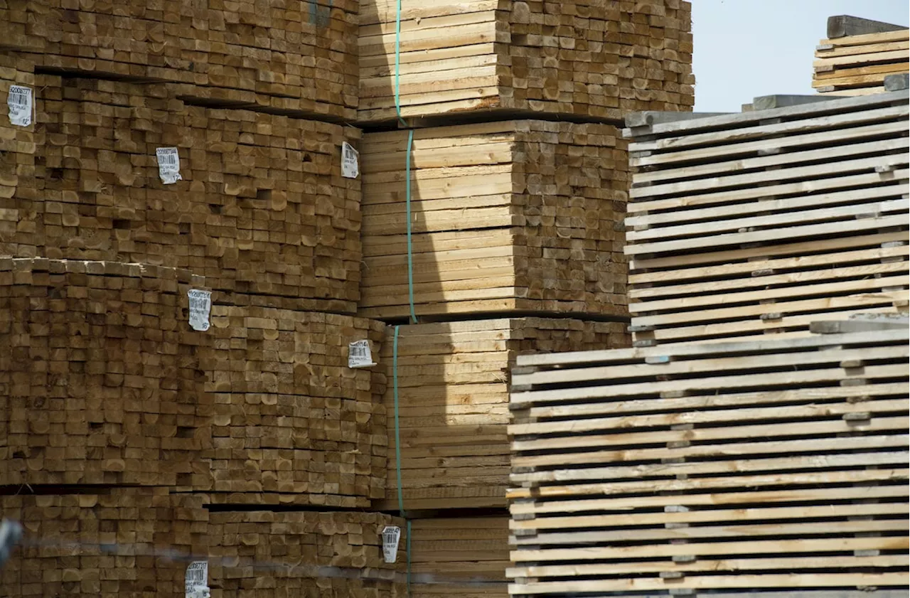 It’s time to be bullish on lumber prices