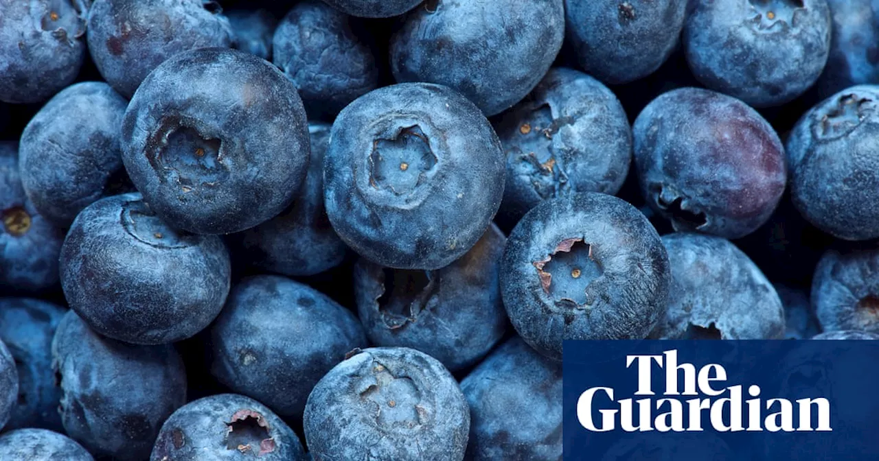 Berry good news as punnet prices plummet: Australia’s best-value fruit and veg for October