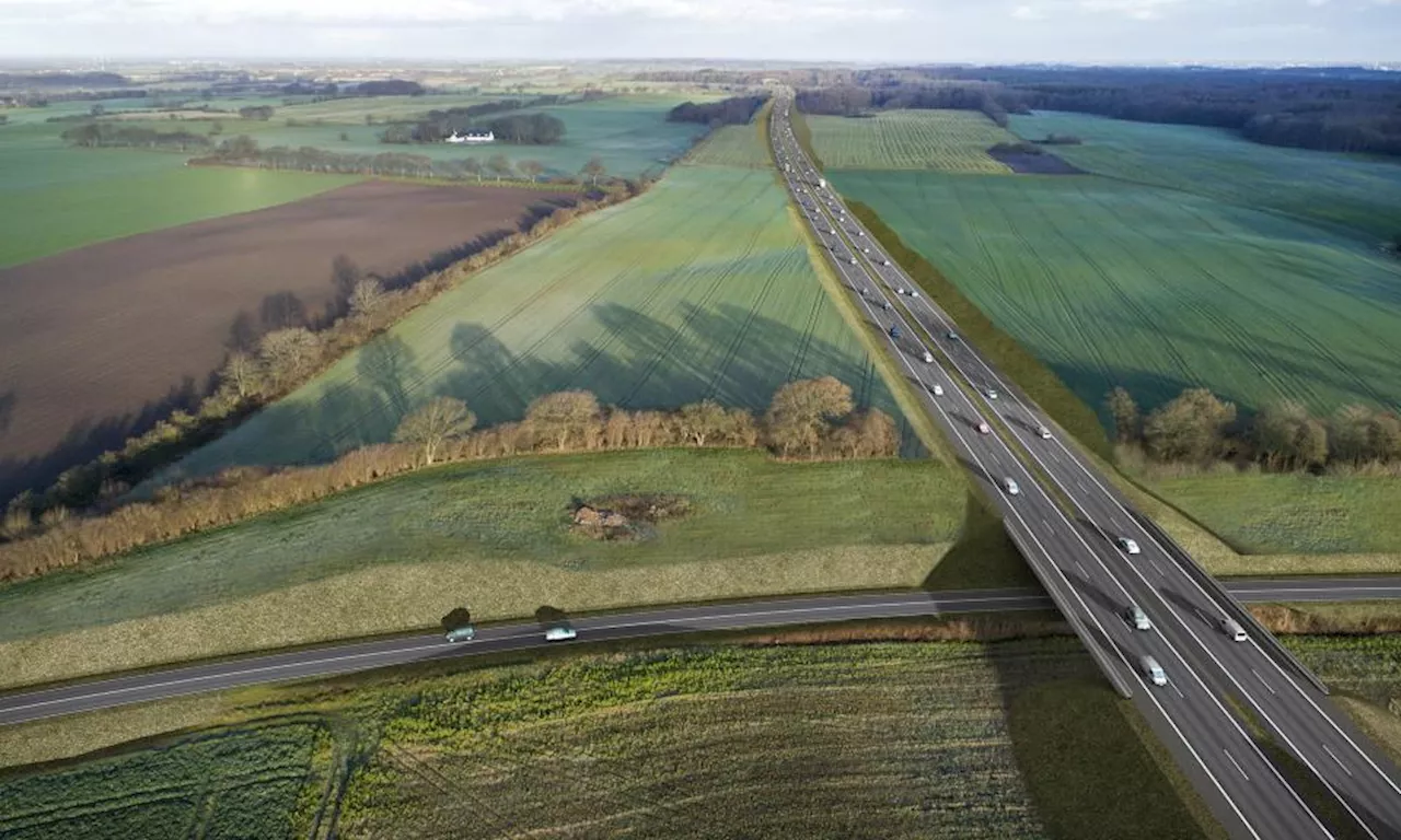 Budgetskred på en milliard: Vejdirektoratet vil spare på naturhensyn for at få råd til motorvej