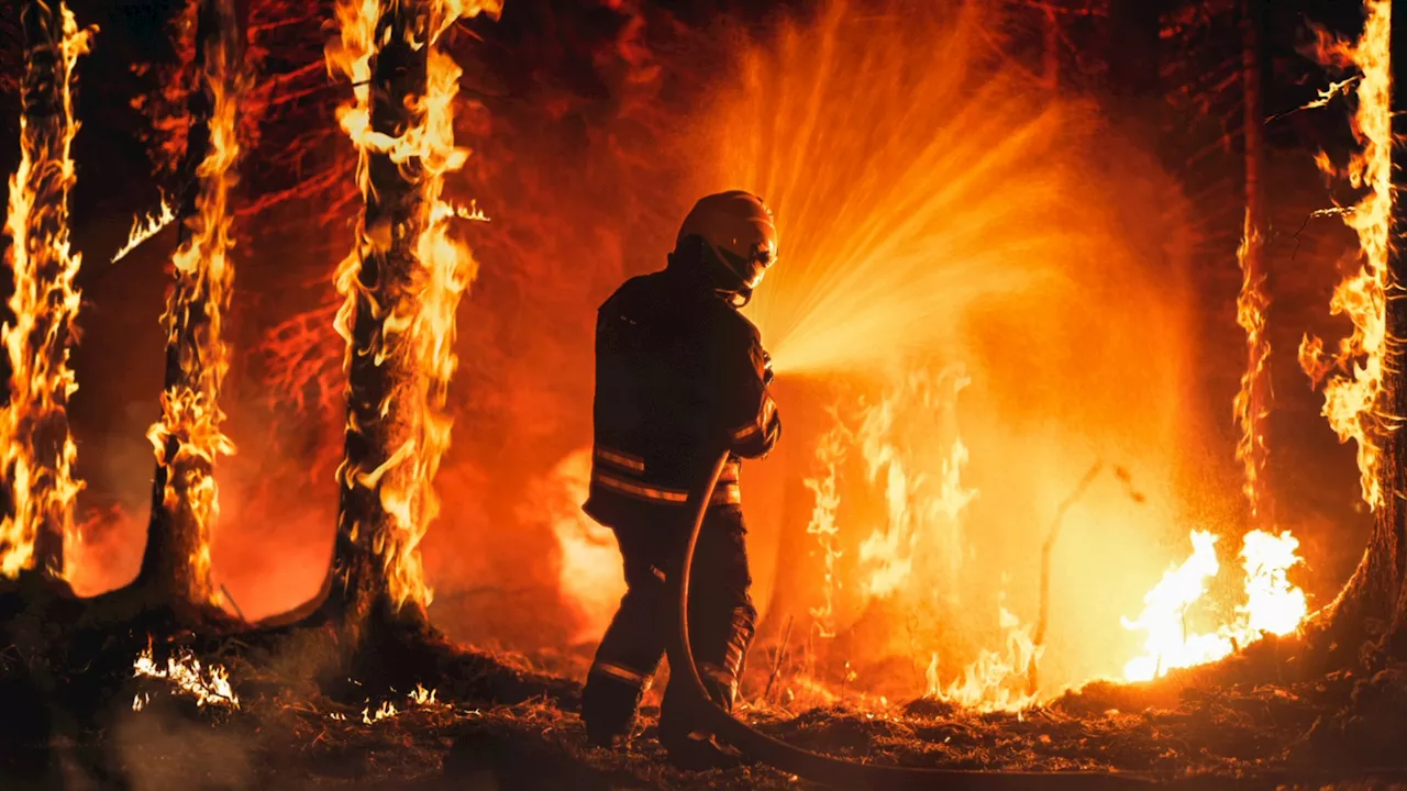 New ‘immersive cinema’ trains firefighters for megafires in Australia