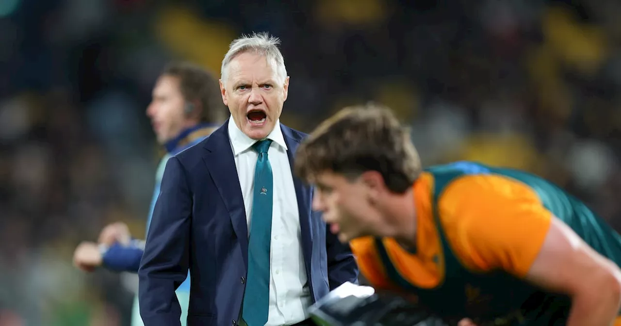 Wallabies make gains but need wins to capitalise on golden decade ahead