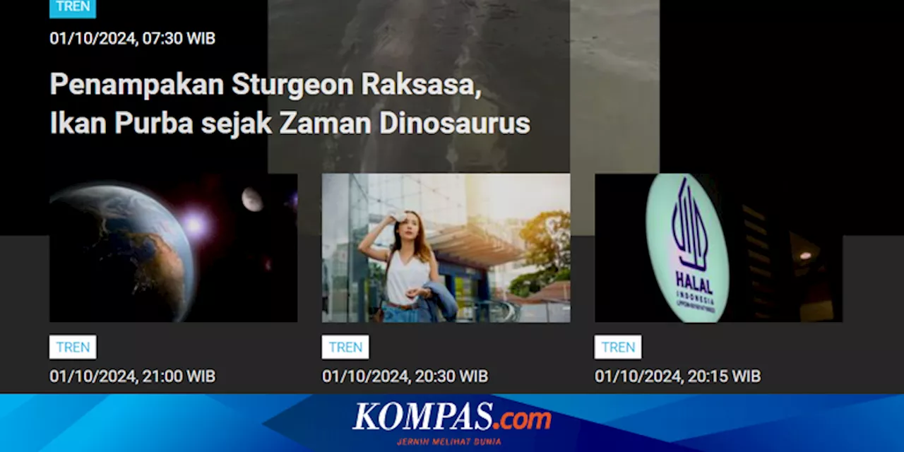 [POPULER TREN] Penampakan Ikan Purba Raksasa sejak Era Dinosaurus