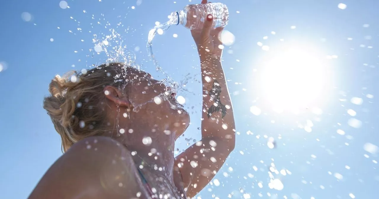 Excessive heat bakes Bay Area; record temperatures expected across region