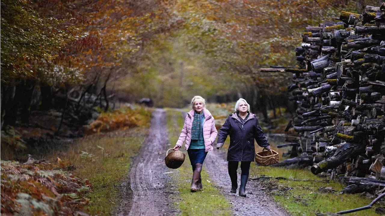 « Quand vient l’automne » : les vieilles dames indignes de François Ozon