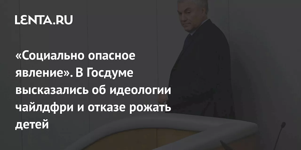 «Социально опасное явление». В Госдуме высказались об идеологии чайлдфри и отказе рожать детей