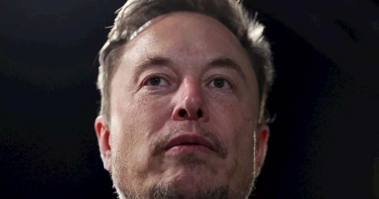 Elon Musk smaschera i dem: come vogliono vincere le elezioni grazie agli immigrati