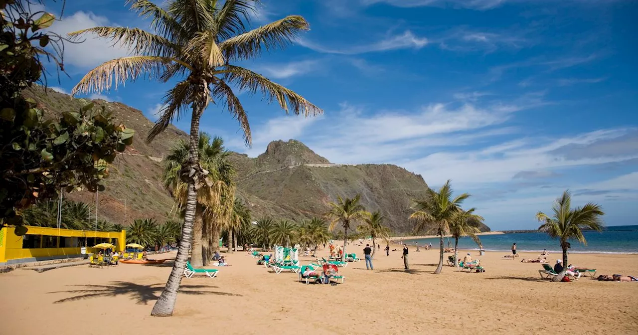 UK tourists warned of rise of ‘cockroaches, rats and bedbugs’ in Canary Islands