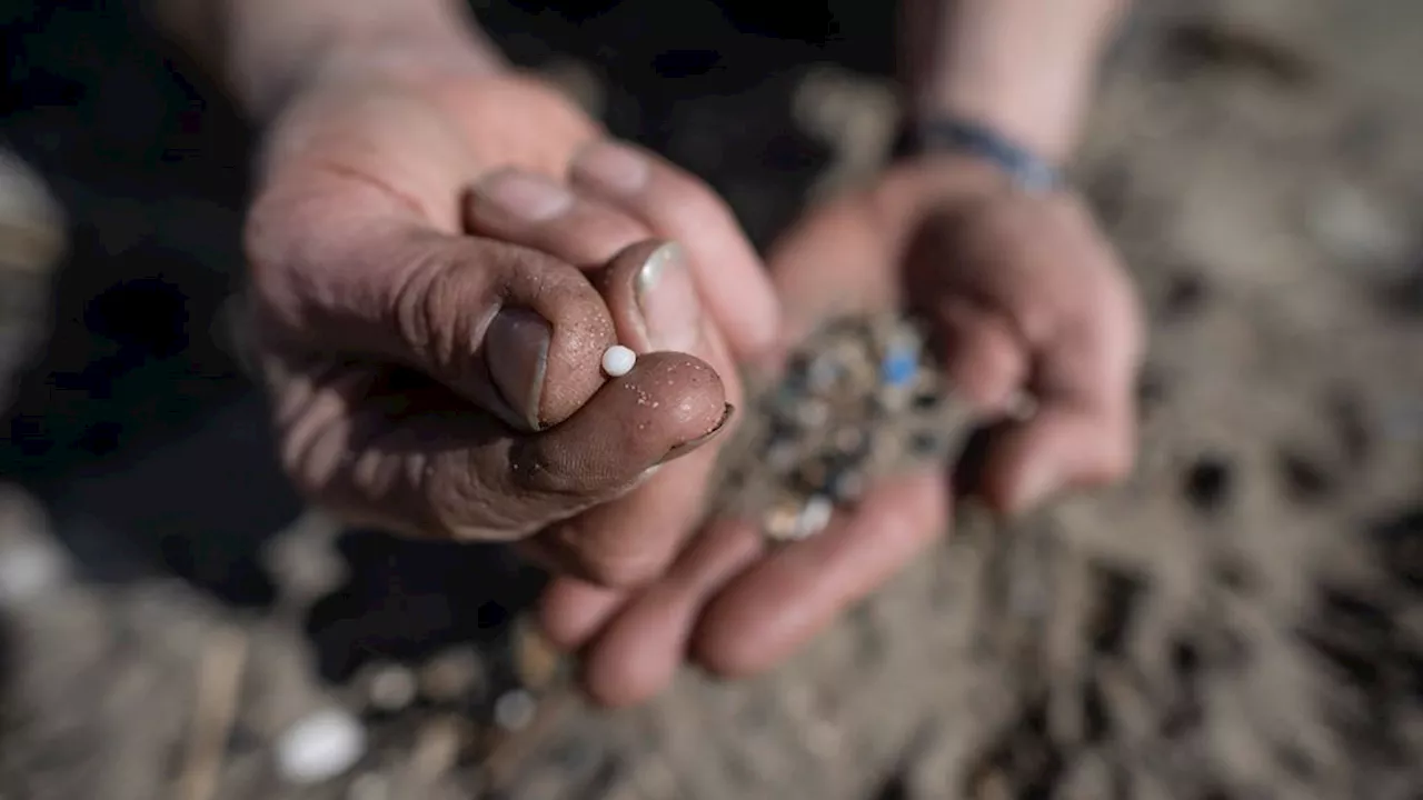 Meeste microplastics in Nederland afkomstig van autobanden