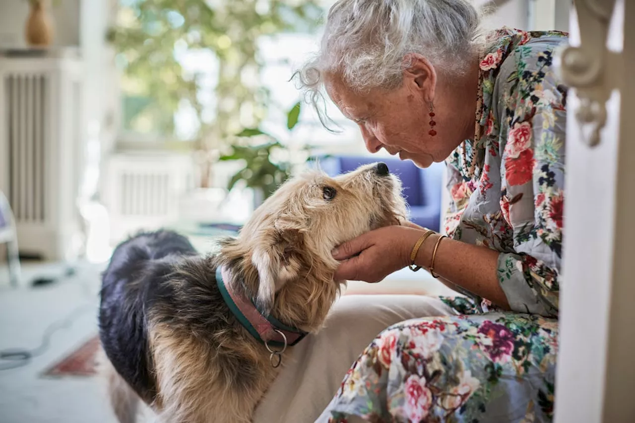 Découvrez l'impact des animaux de compagnie sur la santé des seniors selon un nouveau sondage