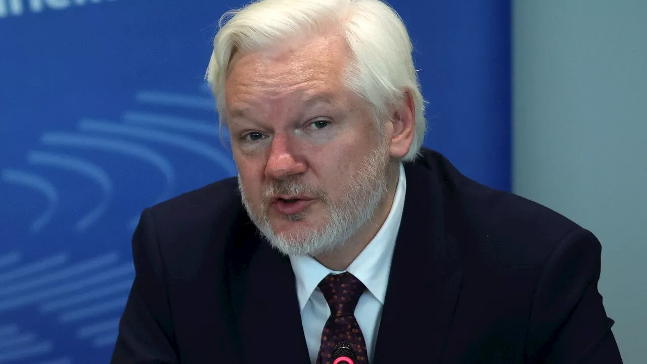 Assange: I pleaded guilty to journalism to be free