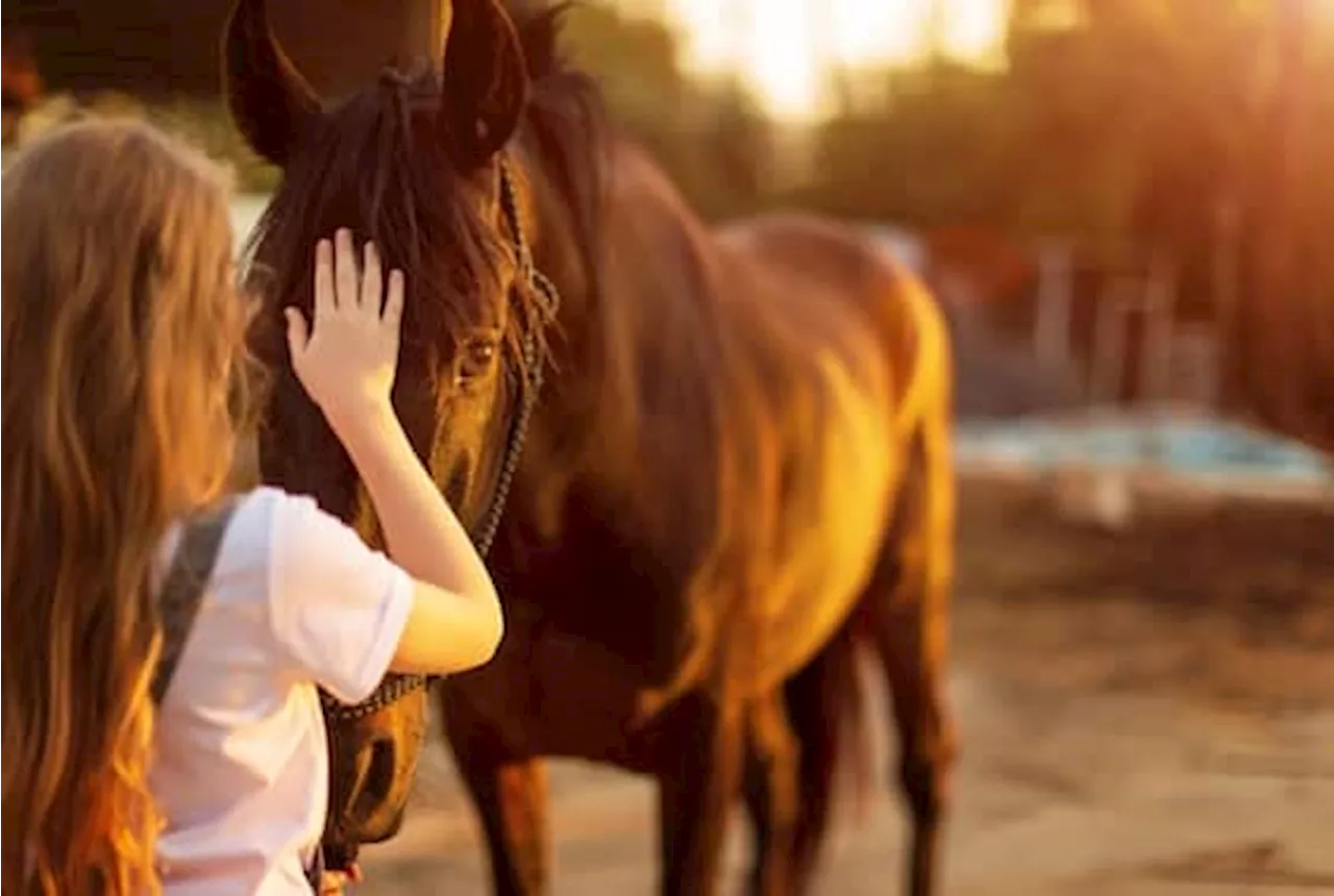 L’interazione con animali fa bene al microbioma dei bambini: lo studio