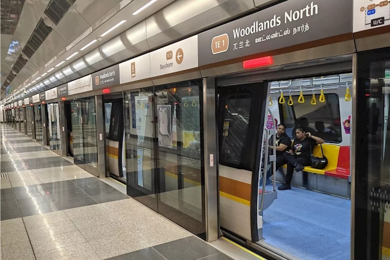 MRT services resume on TEL after delay due to train fault