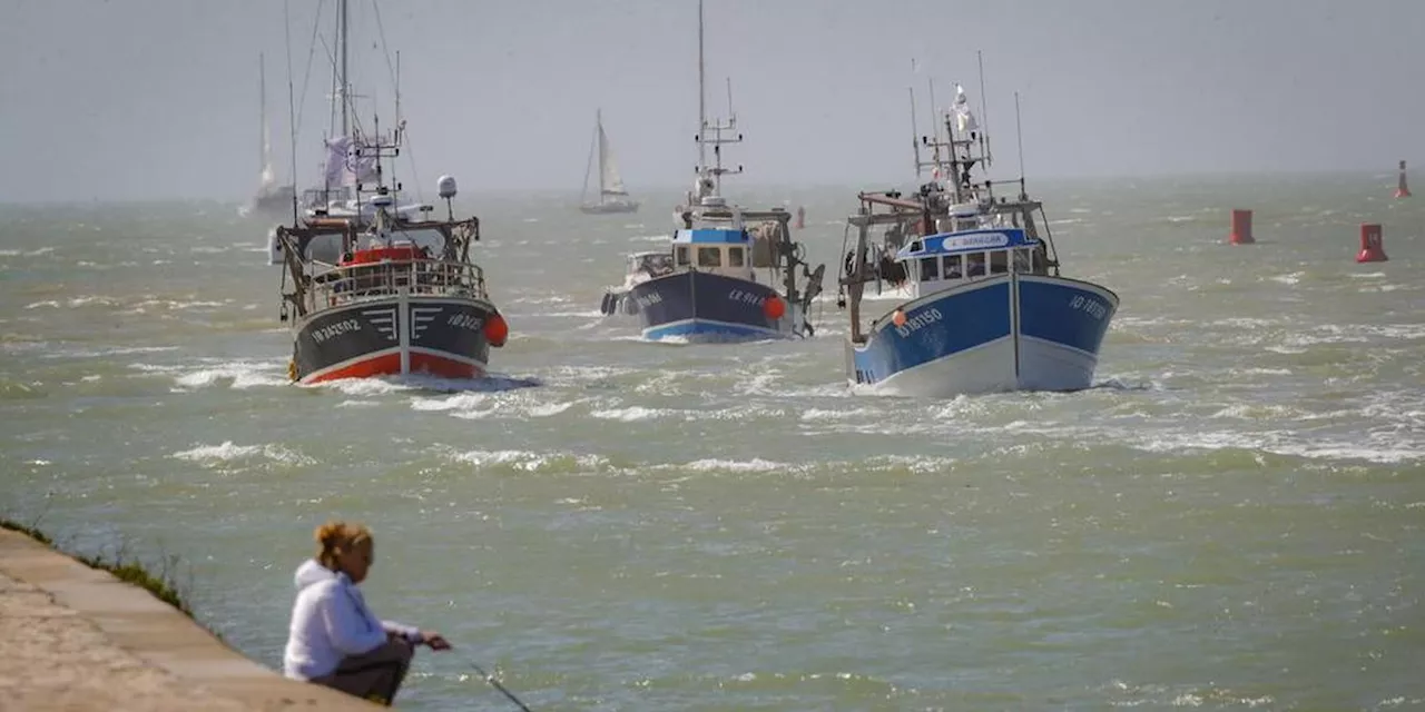 Protection des dauphins : le golfe de Gascogne fermé un mois aux grands navires de pêche