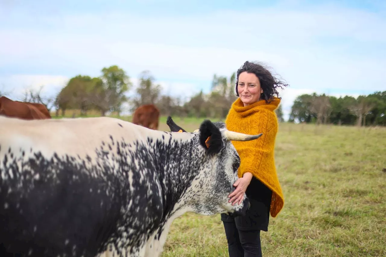 Vidéo. L’odeur de ses vaches gêne les voisins, elle doit déménager