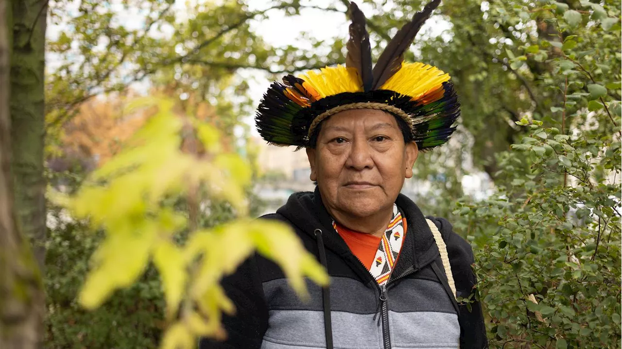 Goldschürfer bedrohen traditionelle Lebensräume der Yanomami