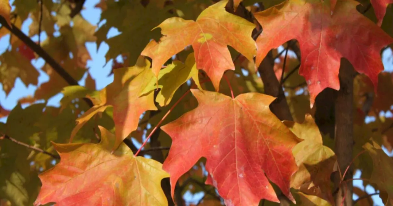 October is here with a few chilly blasts heading our way