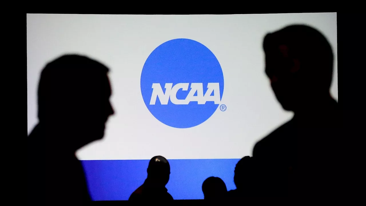 NCAA pilot study finds widespread social media harassment of athletes, coaches and officials