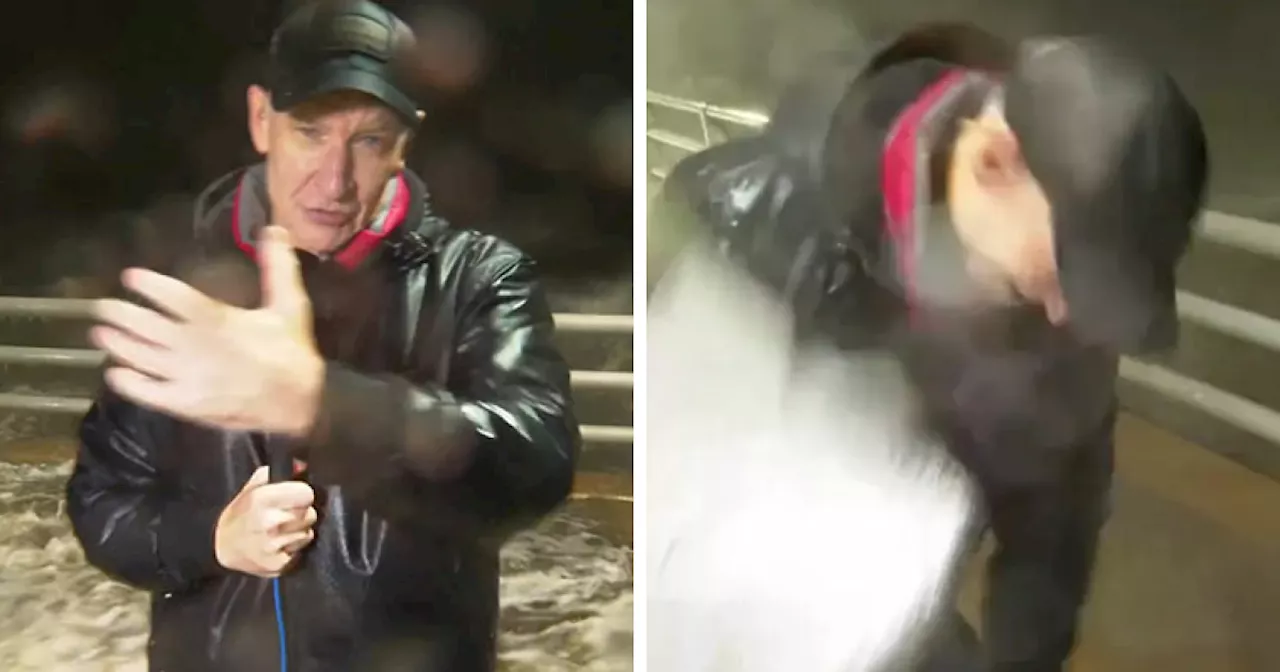 'That Wasn't Good': Anderson Cooper's Face Hit By Flying Debris During Hurricane Milton Coverage